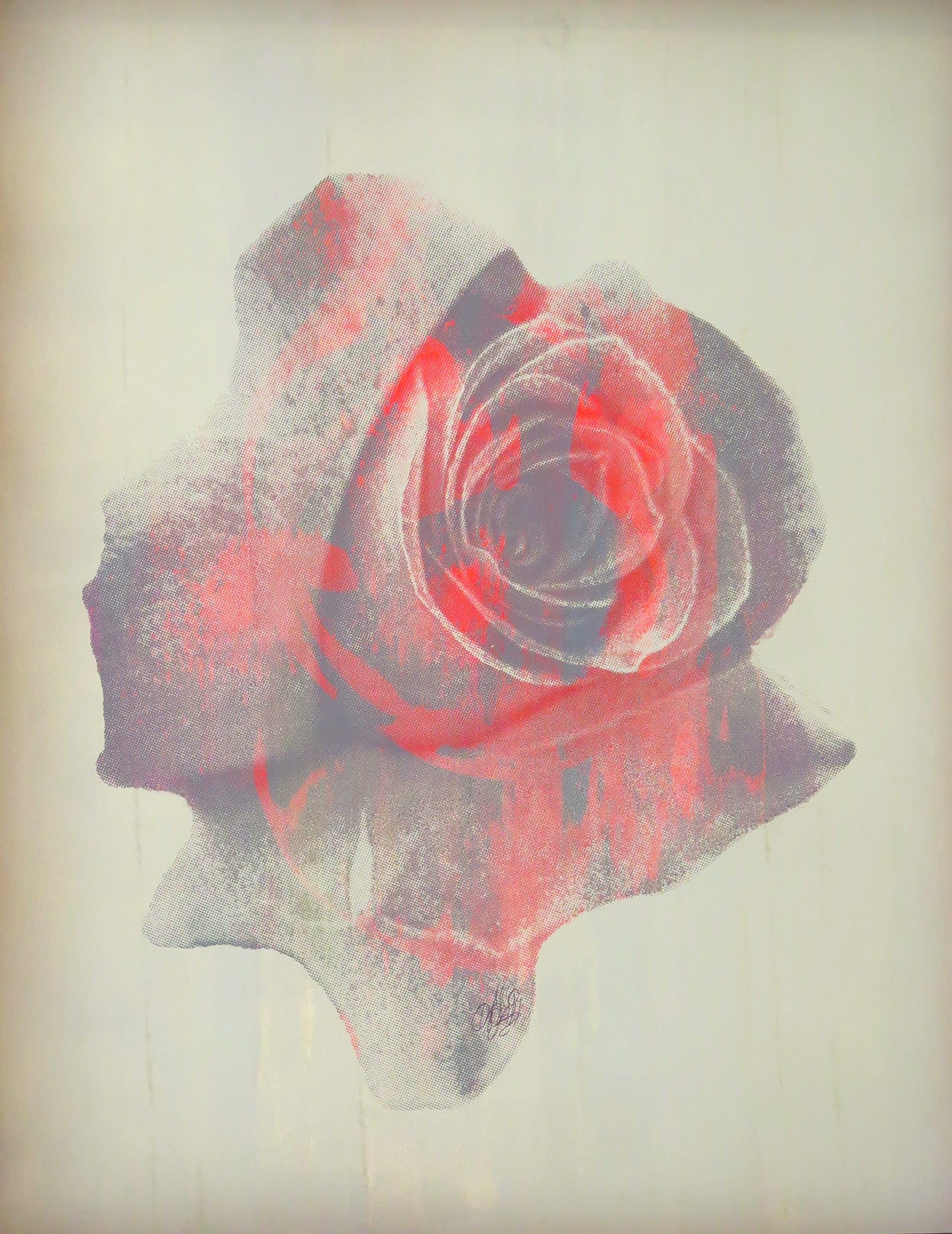 Orange Rose, 2023