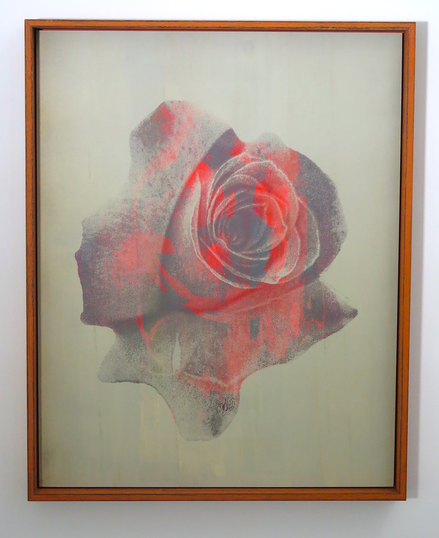 Orange Rose, 2023