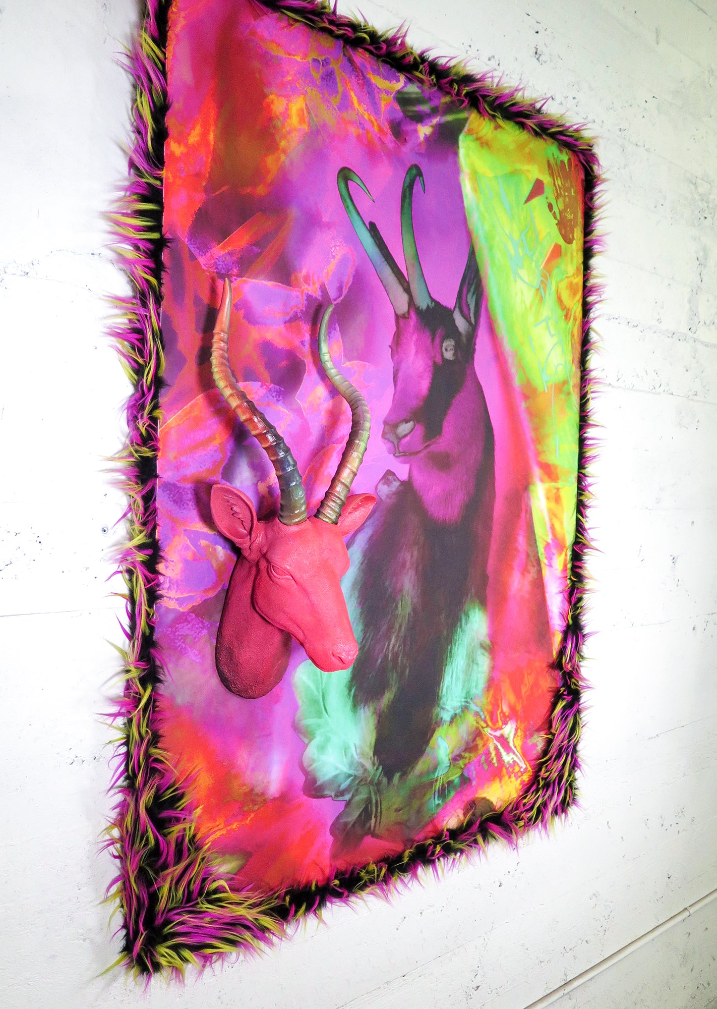 Antilope, 2018